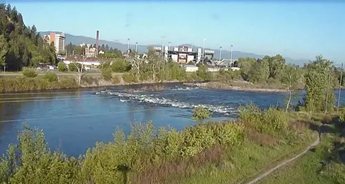 clark fork river seen from the hellgate nest cam, UM football stadium in the background