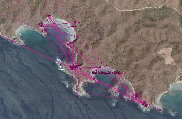 view of a bay in nicaragua with purple lines showing the path of a migrated osprey
