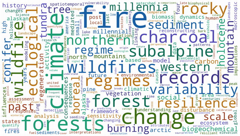 Word cloud of publications titles through 2025