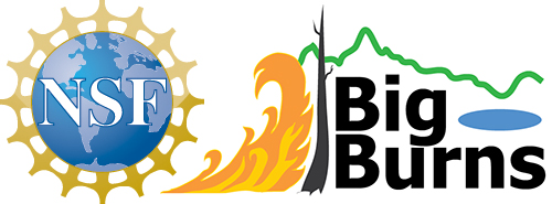 Big Burns Logo