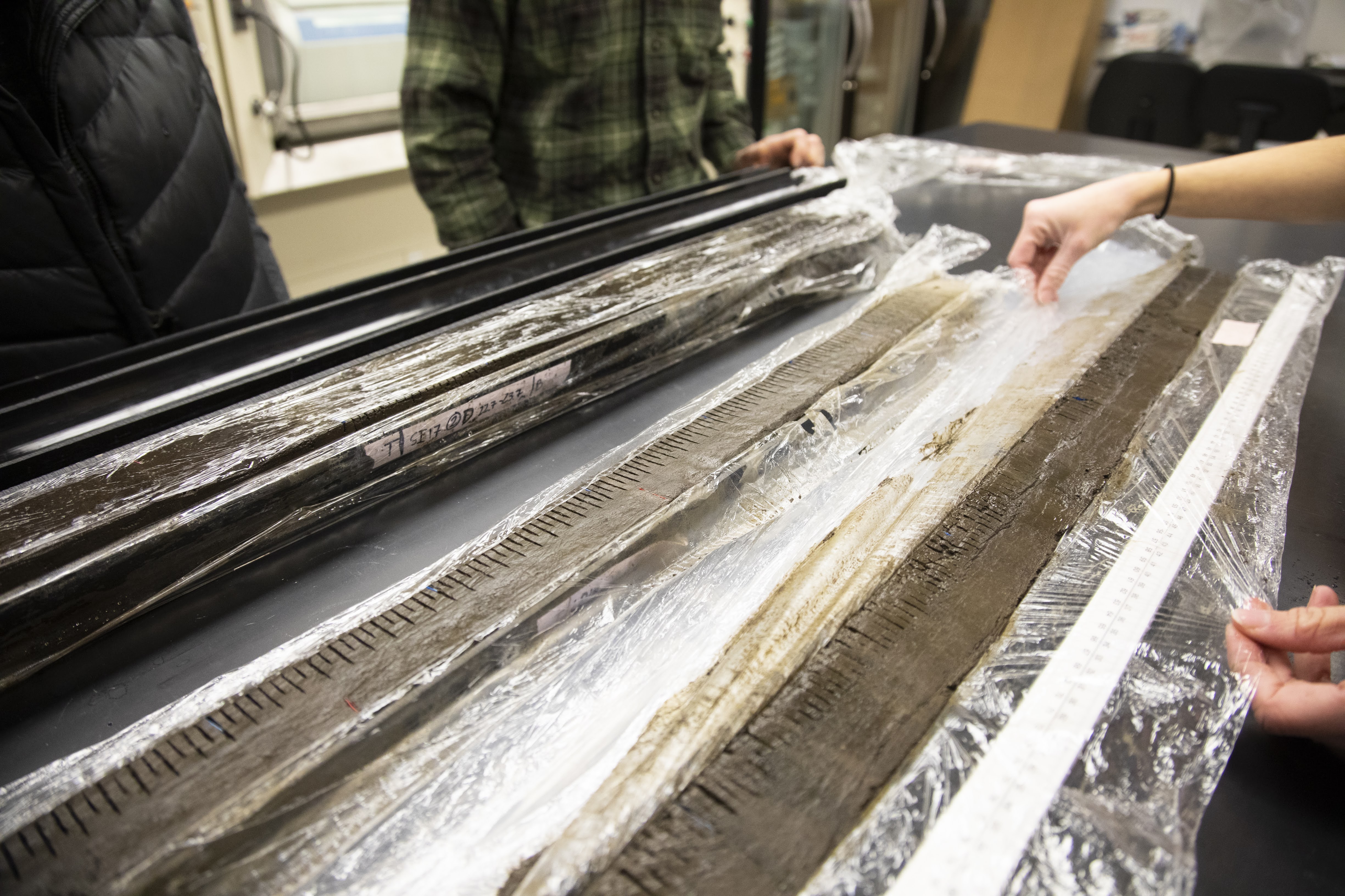 Lake-sediment cores on display in the lab