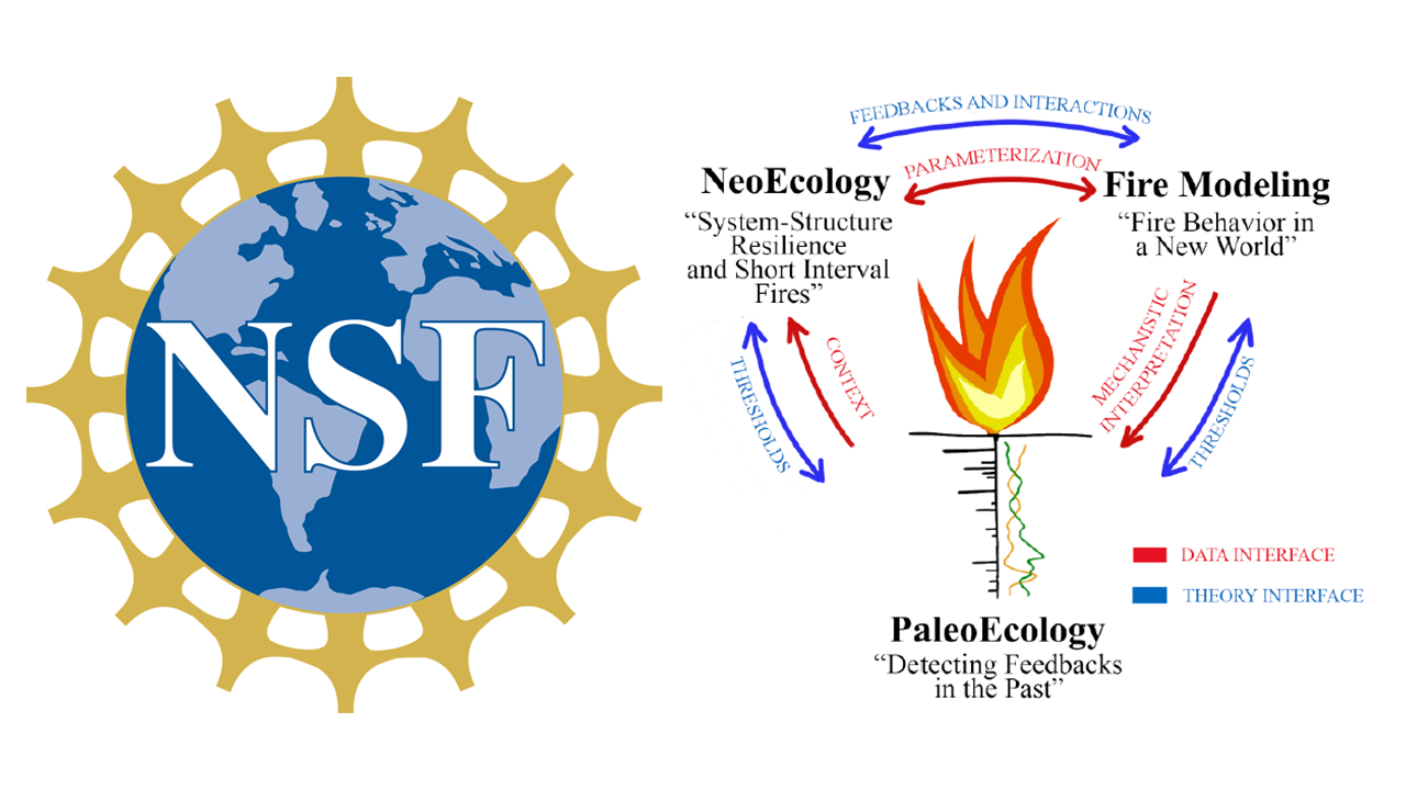 NSF and Boreal Fire Feedbacks logos