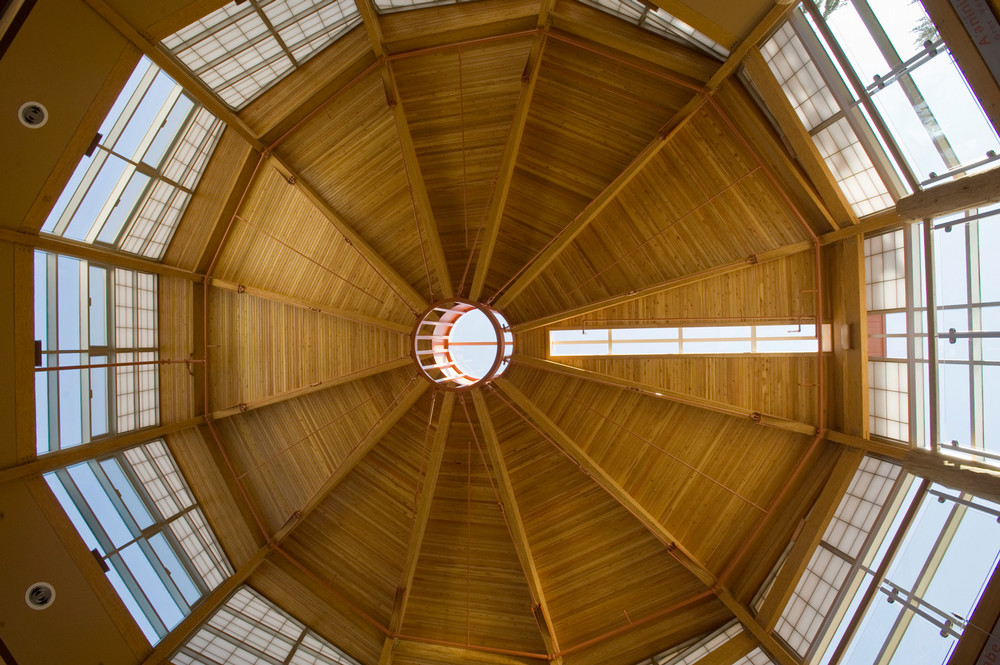 Rotunda ceiling 