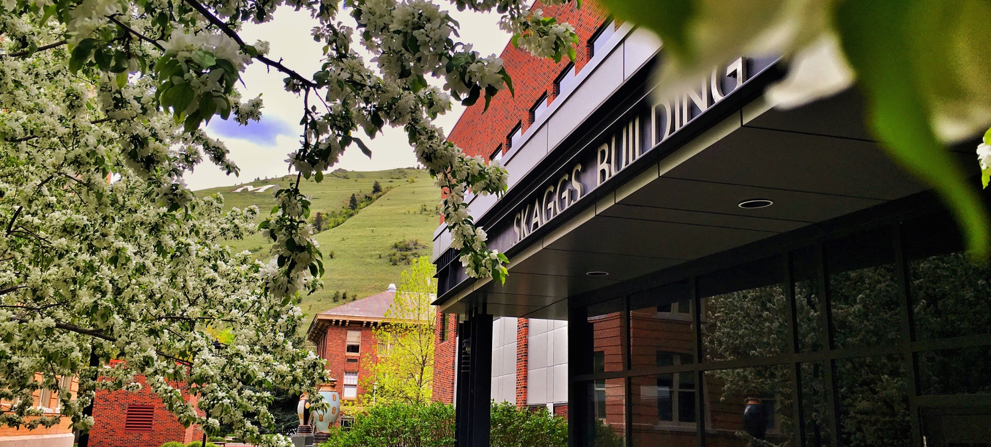 Skaggs Building Spring with M