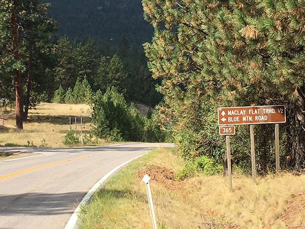 blue mountian road raod sign