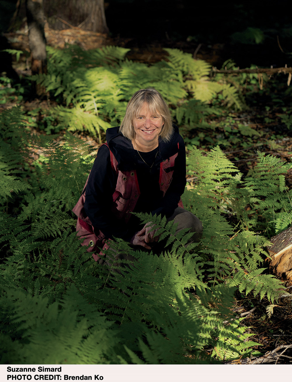 Photo of Suzanne Simard
