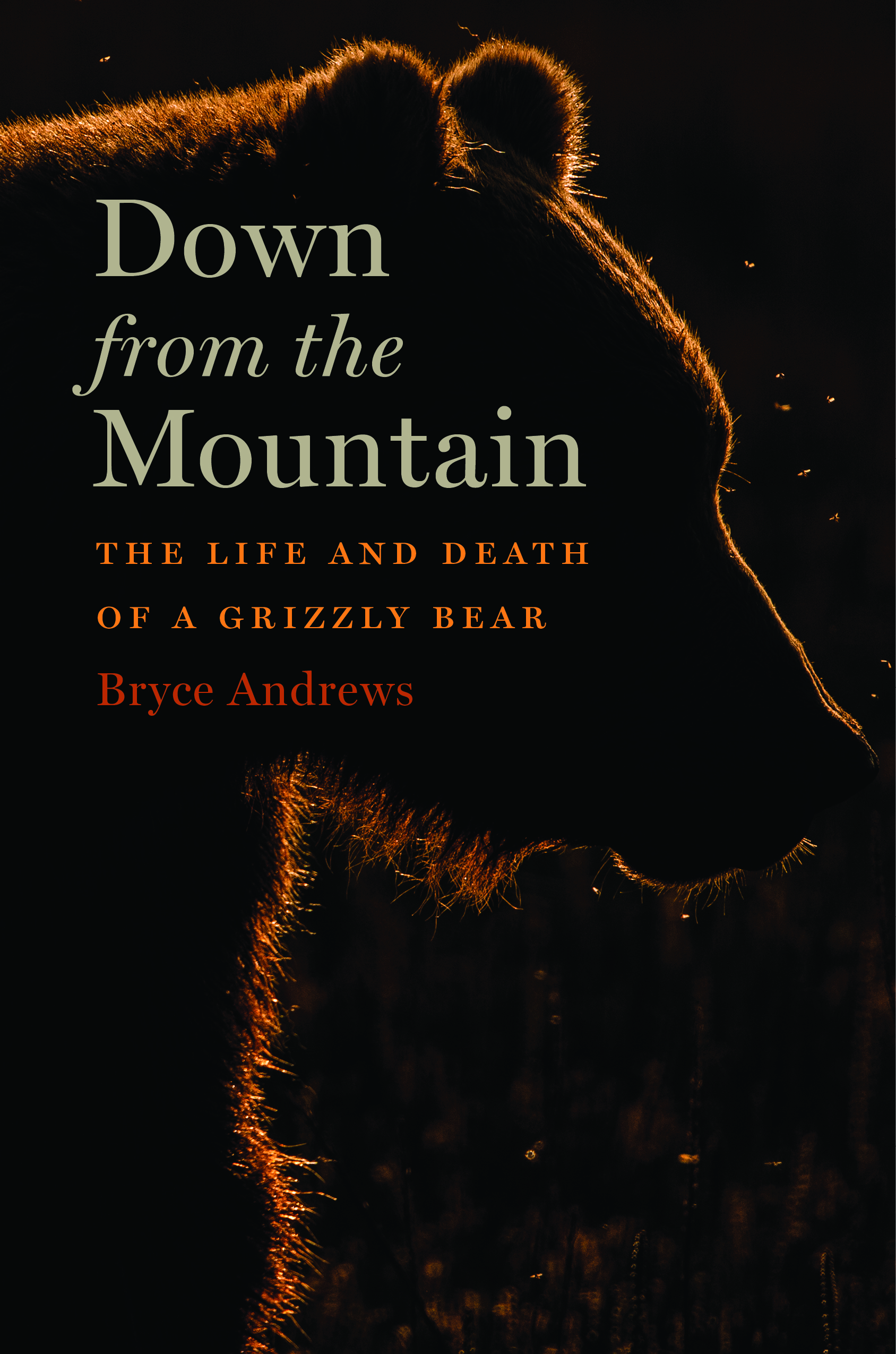 Down from the Mountain Cover