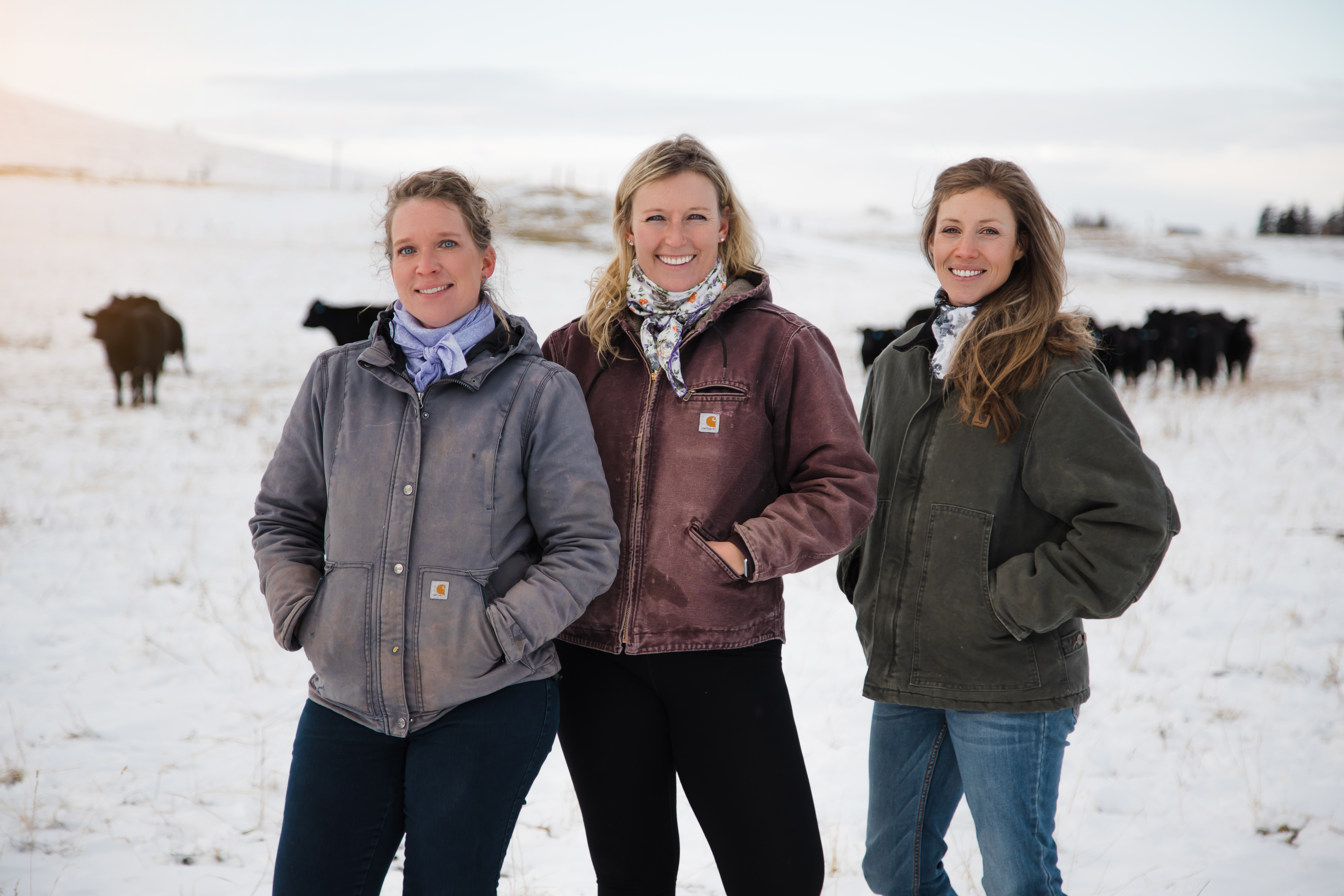 three women posing outside with cows in the background