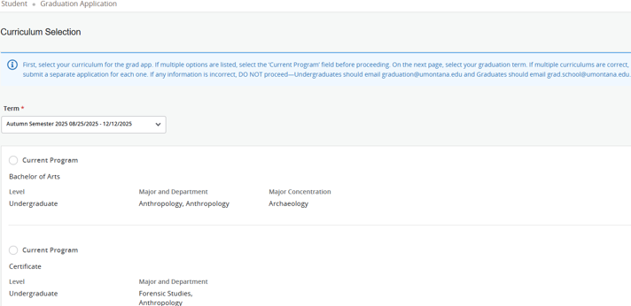 Screenshot of a university graduation application page showing a “Curriculum Selection” section with a term dropdown and radio-button options for current programs (e.g., Bachelor of Arts in ArchaeaeoI