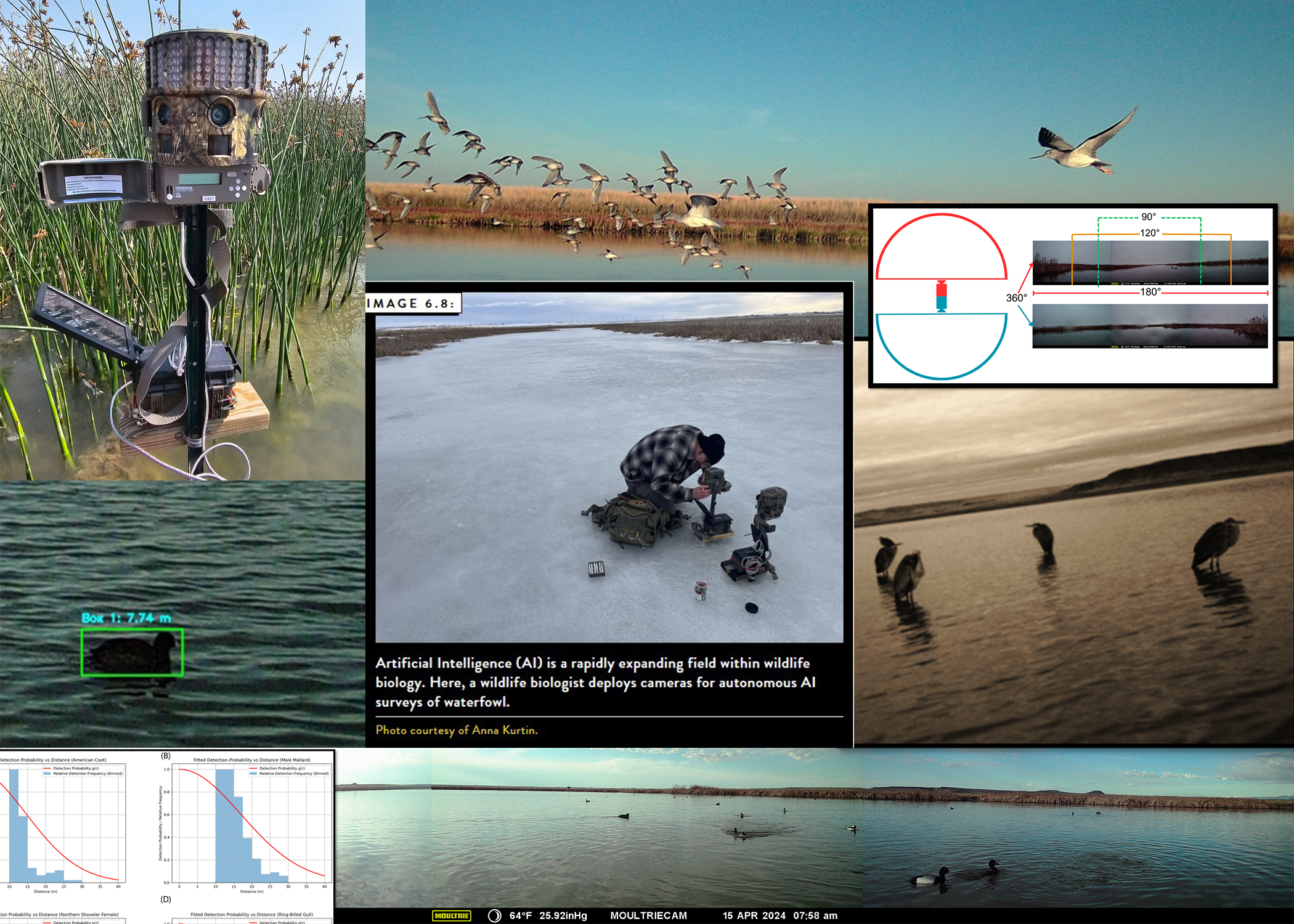 Collage of Christian Dupree's work