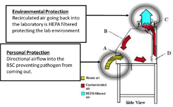 Class 1 BSC Diagram