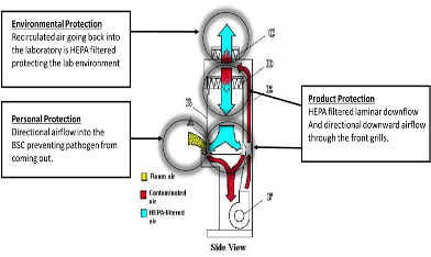 Class 2 BSC Diagram