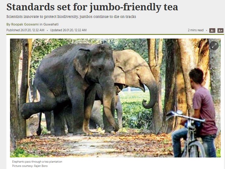 Photo of The Telegraph India and National Geographic cover Elephant Friendly™ Tea