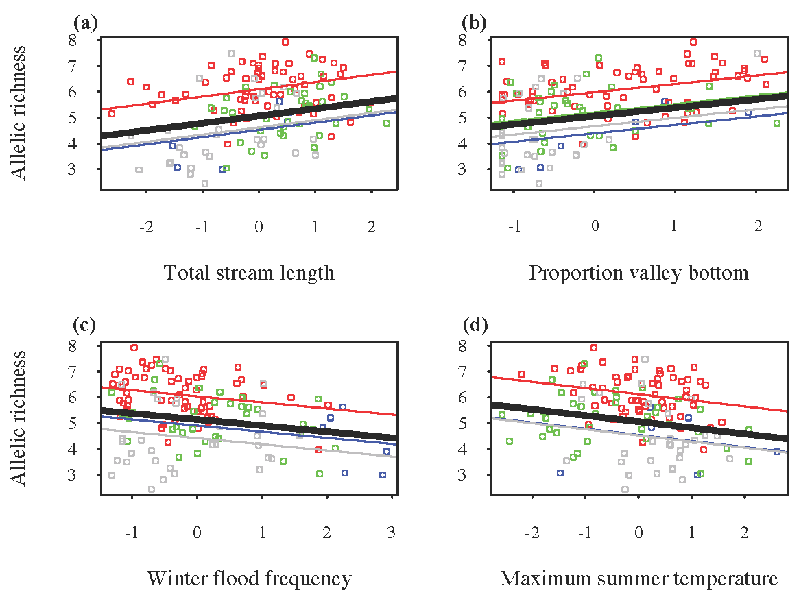  allelic richness in bull trout populations was positively related to habitat patch size and complexity figure