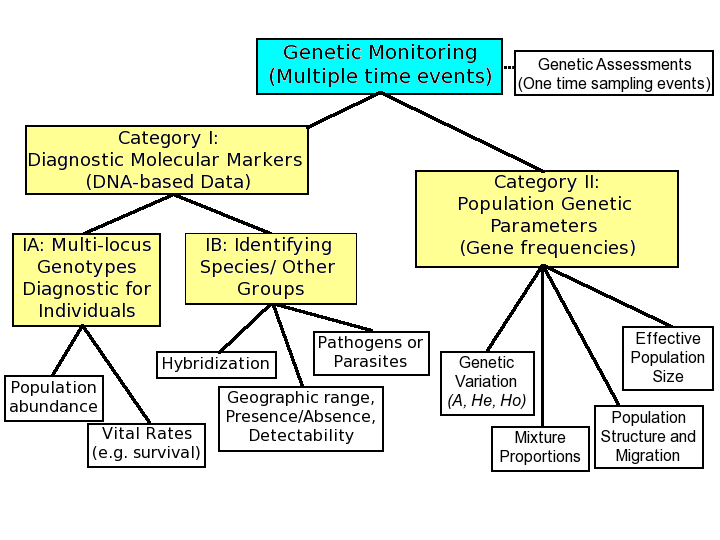 genetic monitoring category chart