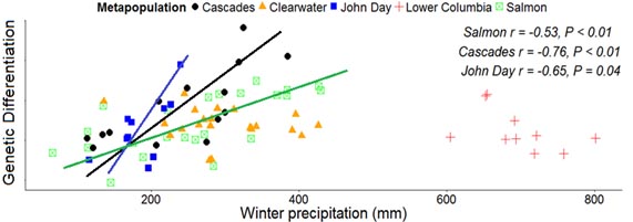 Scatter plot of average genetic distance between a single population related to other populations