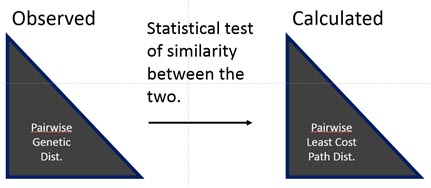 Stat test similarity between different models