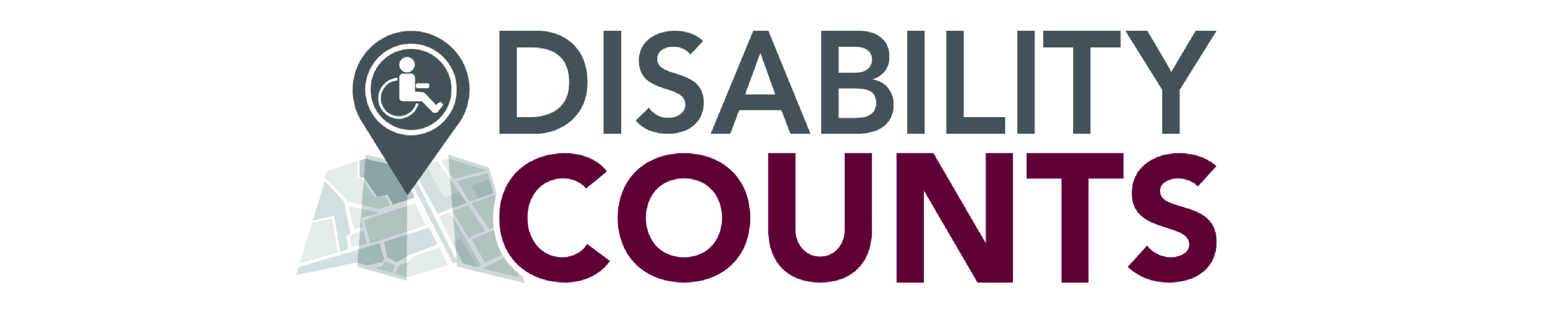 Disability Counts Logo