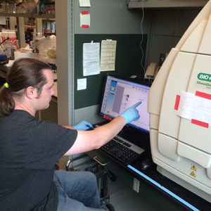 Working at a chemilumenescent imager