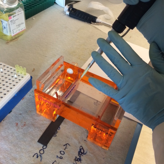 worker using pipette 