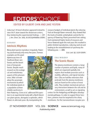 Editors' Choice