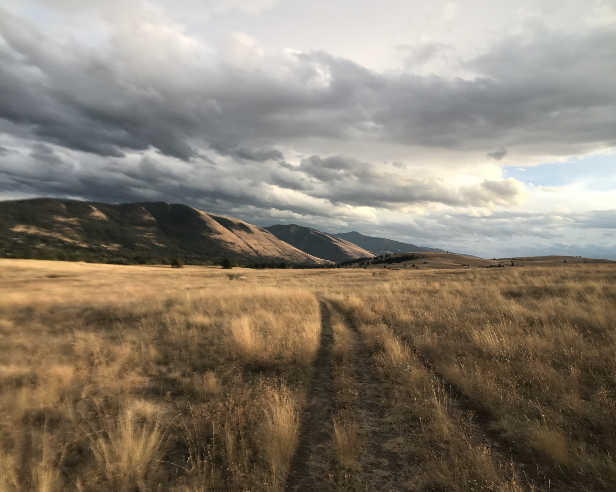 Open field with mountains in the background