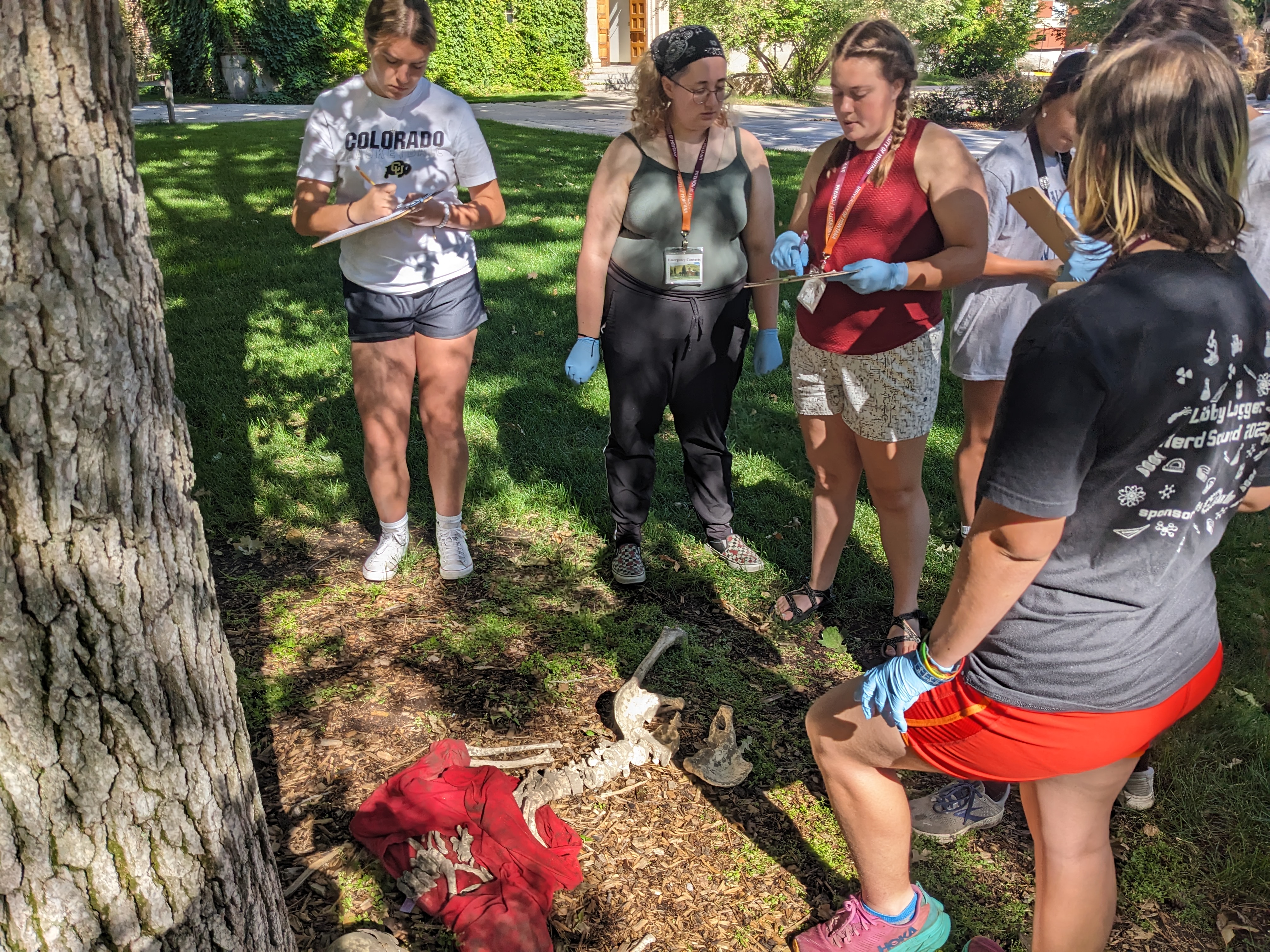Group of students make observations of fake skeletal remains on ground.