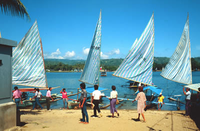 sail boats in a harbor
