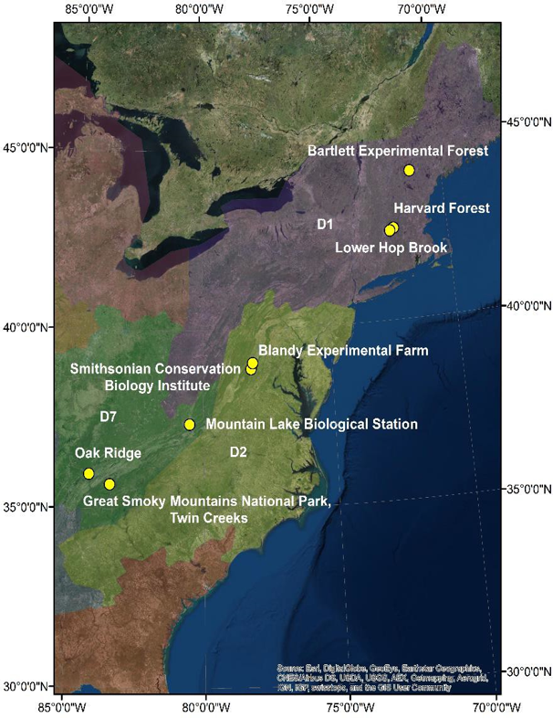 Seven NEON sites along the Eastern Seaboard of the United States.