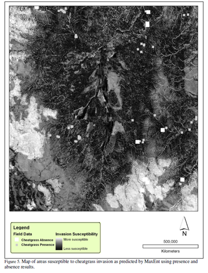Grayscale map showing predicted invasion susceptibility for cheatgrass, with a legend indicating more and less susceptible areas.