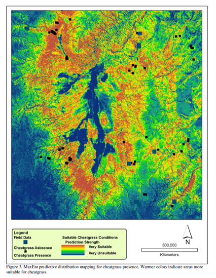 Color-coded map showing predicted suitable cheetahgrass conditions, with warmer colors indicating higher suitability and cooler colors lower suitability.