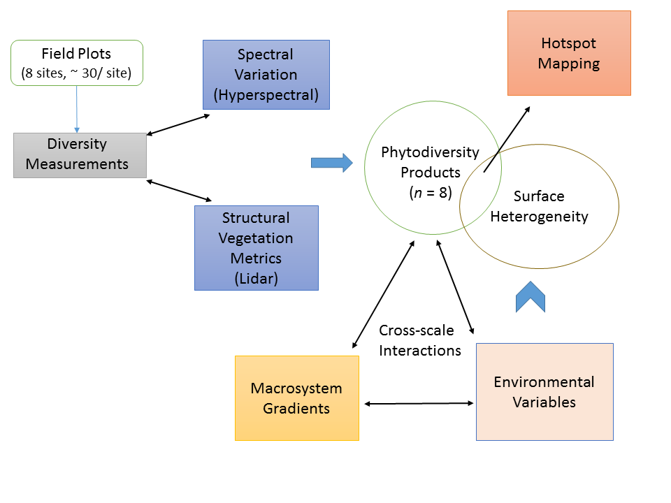 Flowchart showing how field sampling can be used with hyperspectral and Lidar data to generate a variety of biological and environmental products.