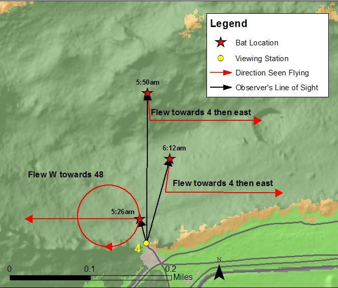 Example of map generated from survey coordinates and observer's notes.