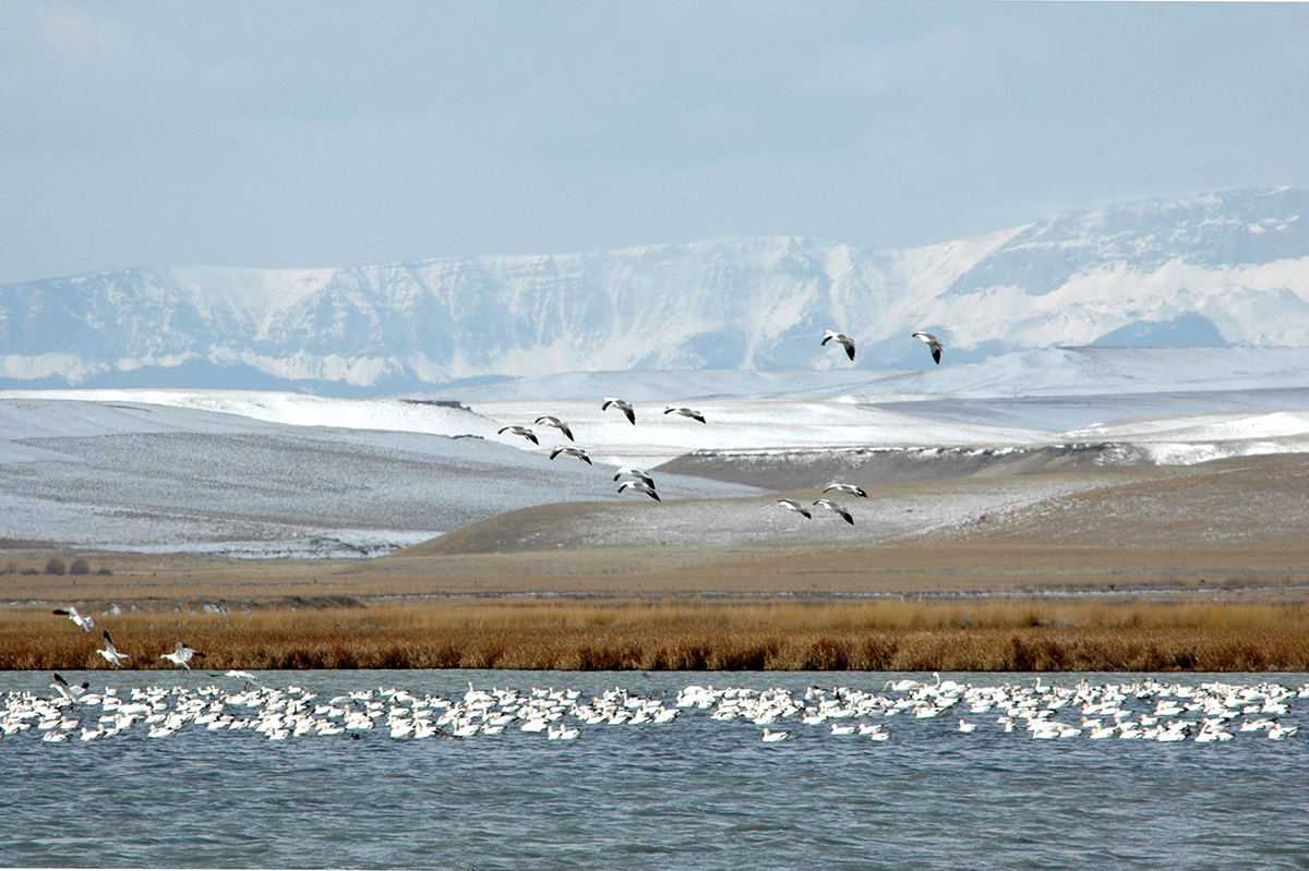 Freezout Lake (credit Rick and Susie Graetz)