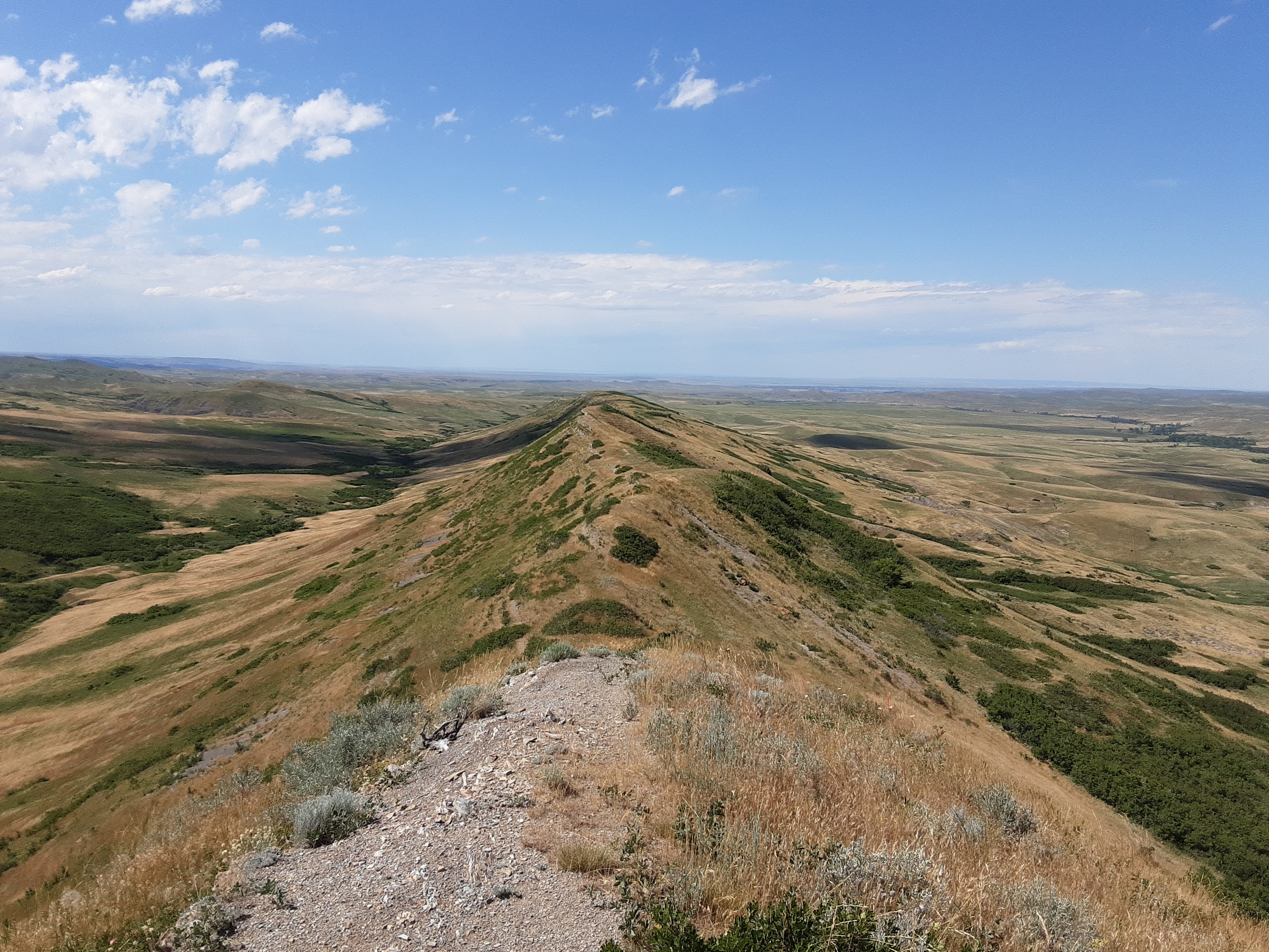 Looking out over the Crow Reservation.