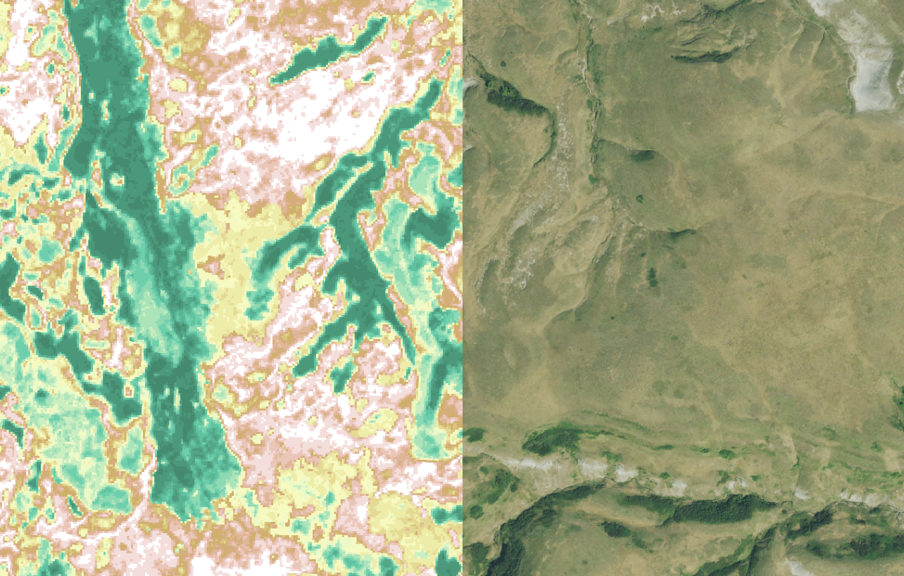 Mapping ventenata from NAIP imagery.
