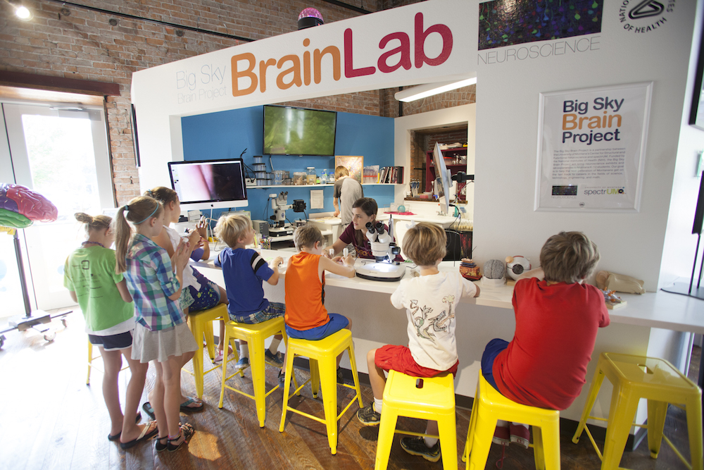 8 kids aged 8-12 sitting on stools in front of microscopes and educator at the Brain Lab