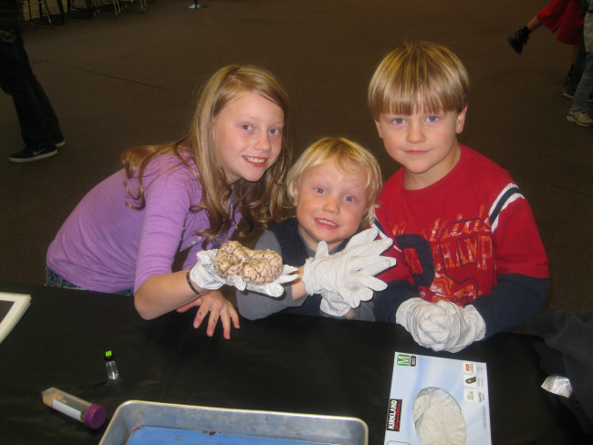  3 elementary students holding a sheep brain.