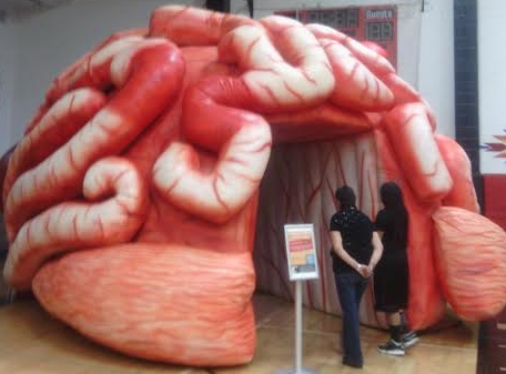 Huge inflatable brain with 2 kids waiting to walk through.