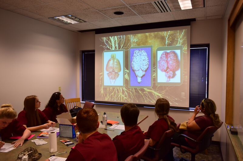 High school students seated at a table looking at 3 brain images on a large screen. 