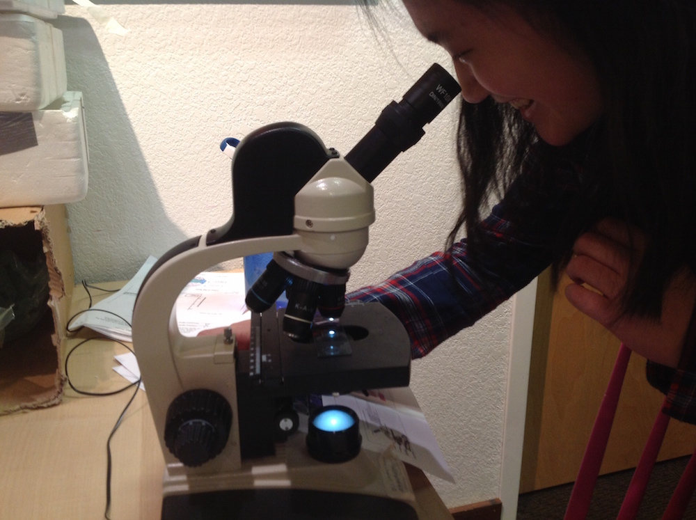 Joyce looking at slides of brain tissues on microscope