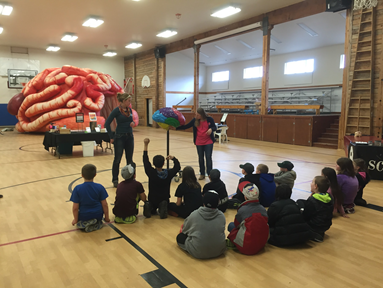 class sitting in the gym in Potomac, MT learning about the colossal brain with the giant, inflatable walk-thru brain in the background
