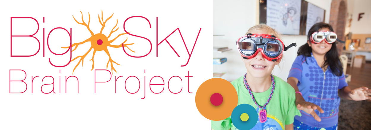 Big Sky Brain Project
