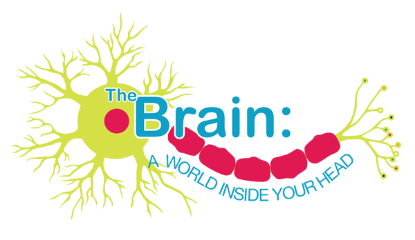 Brain: A World Inside Your Head