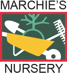 Marchie's Nursery