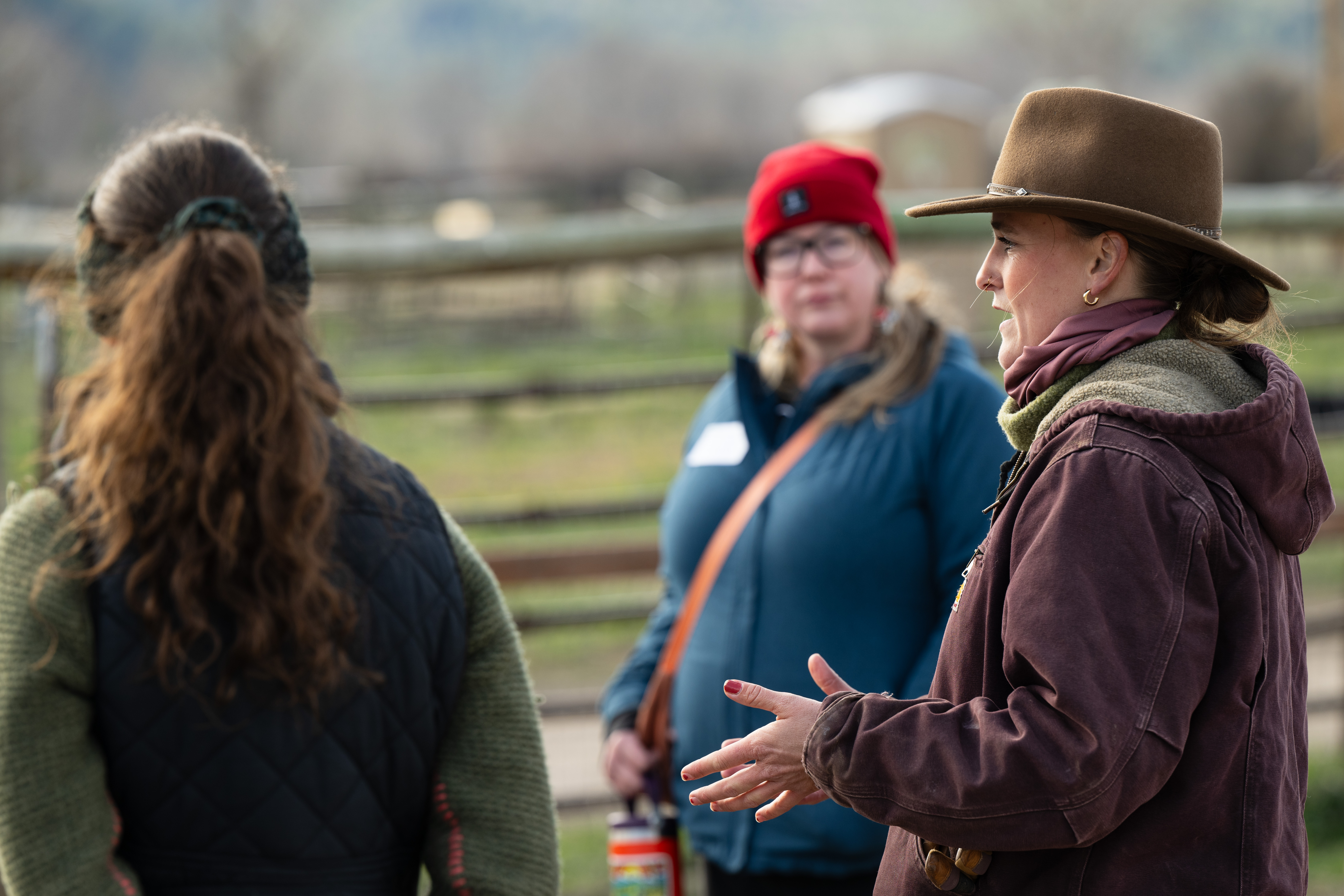 Student Becca Bauer (Class of 2028) learns about equine-assisted therapy