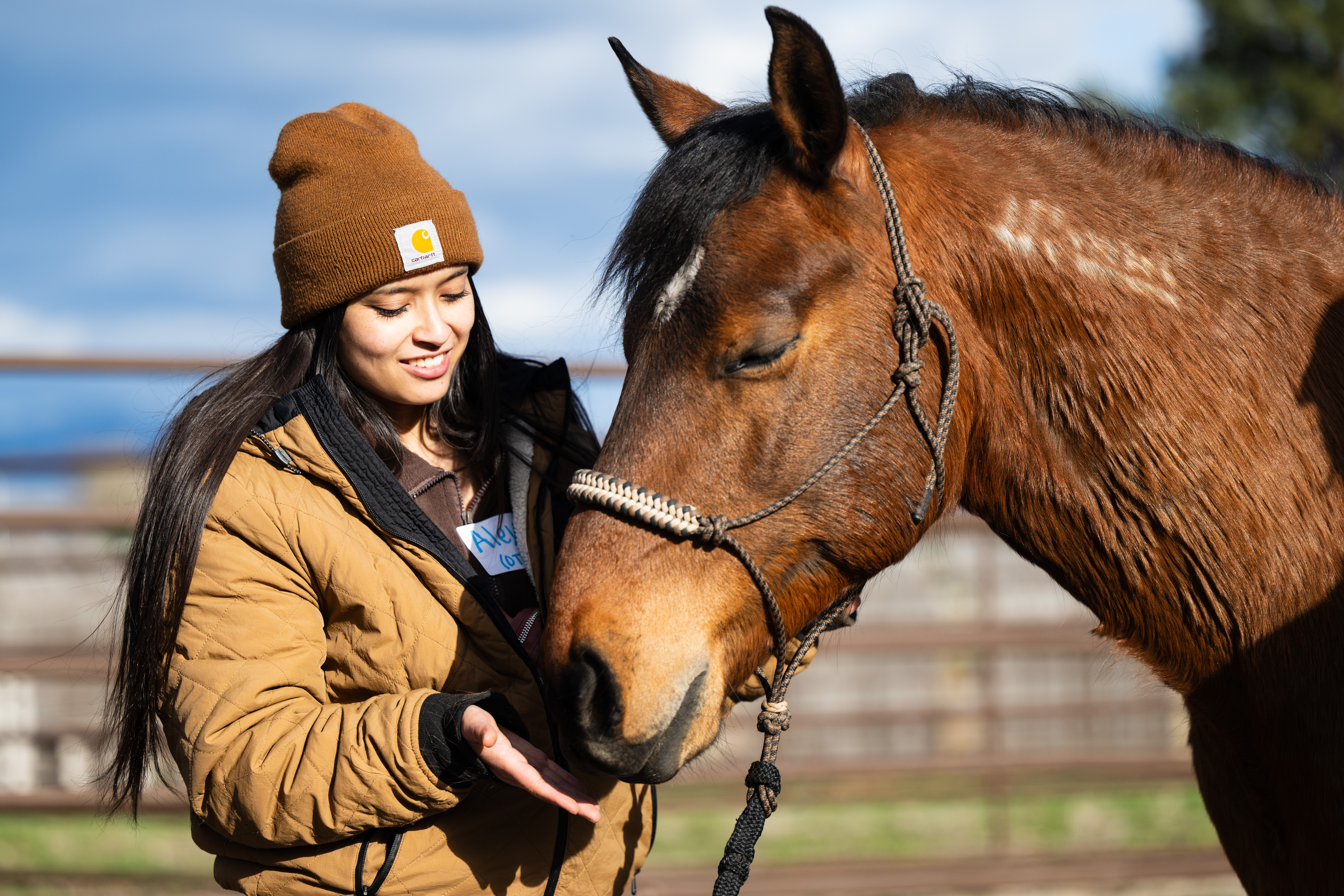 Students engage in equine-assisted therapy as part of occupational therapy training, learning a holistic approach to care by working with horses to support clients’ physical, emotional, and functional needs.
