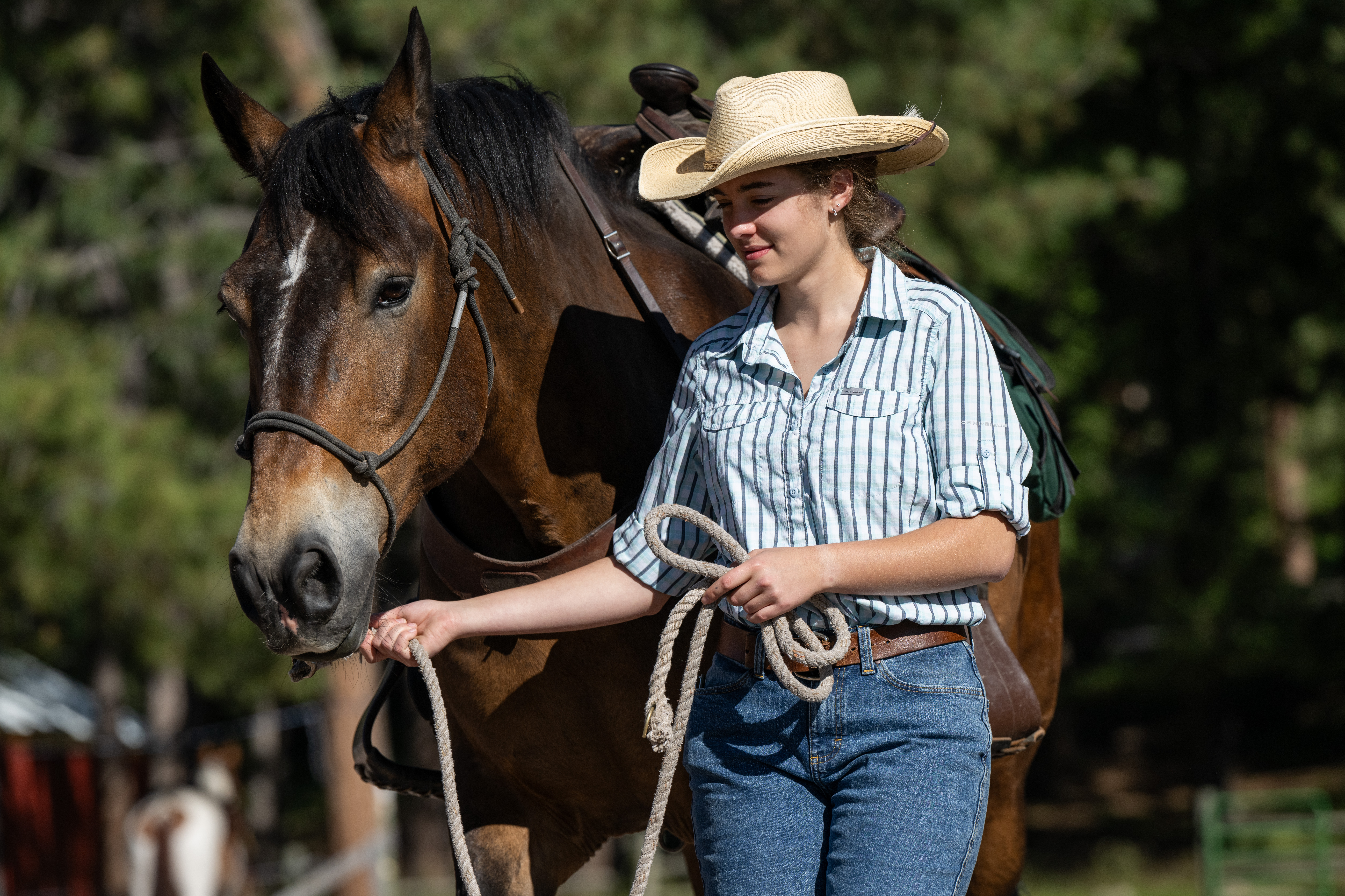 hippotherapy and student