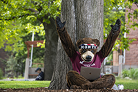 UM mascot Monte under a tree with a laptop
