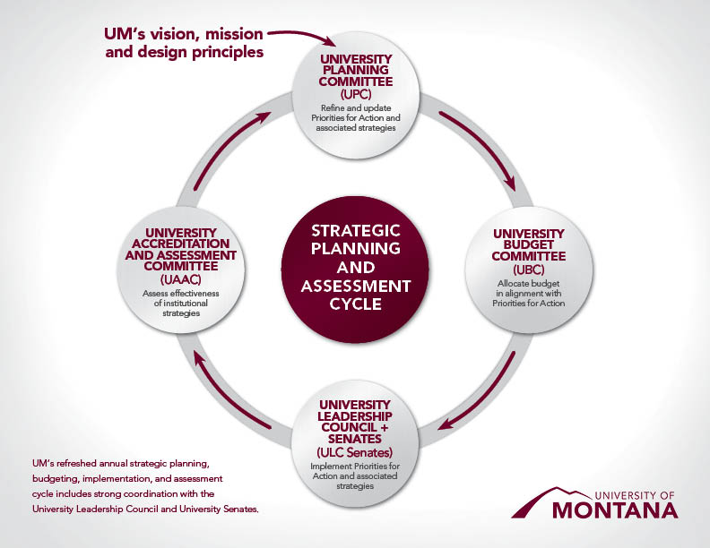 Strategic Planning and Assessment Cycle